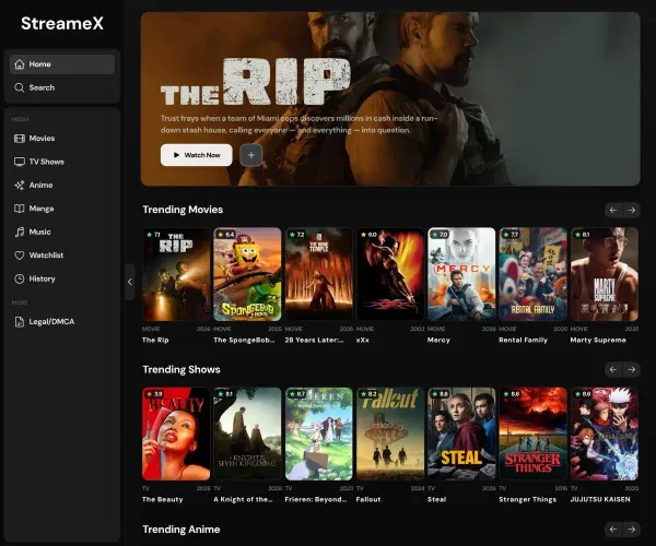 Screenshot of StreameX