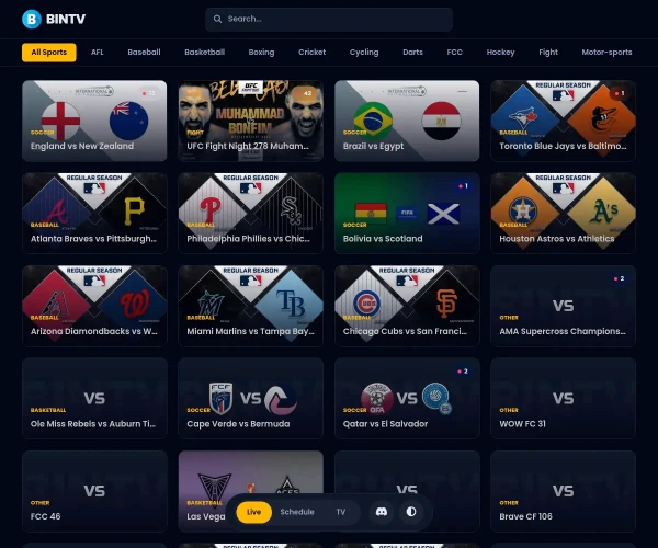 Screenshot of BINTV